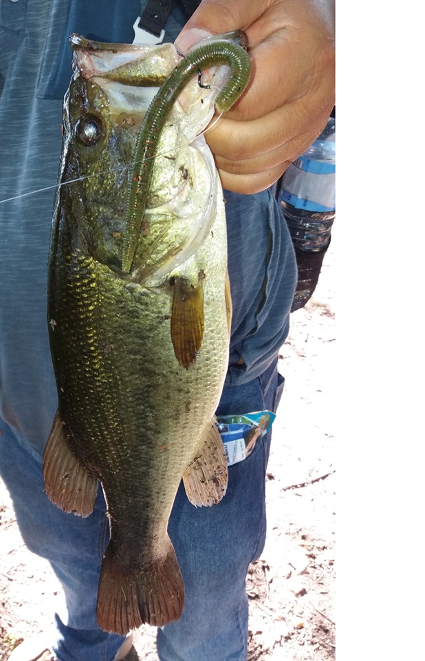 ESFISHING Soft Bait Fishing Se - Fishing Equipment Ebay recension och pris